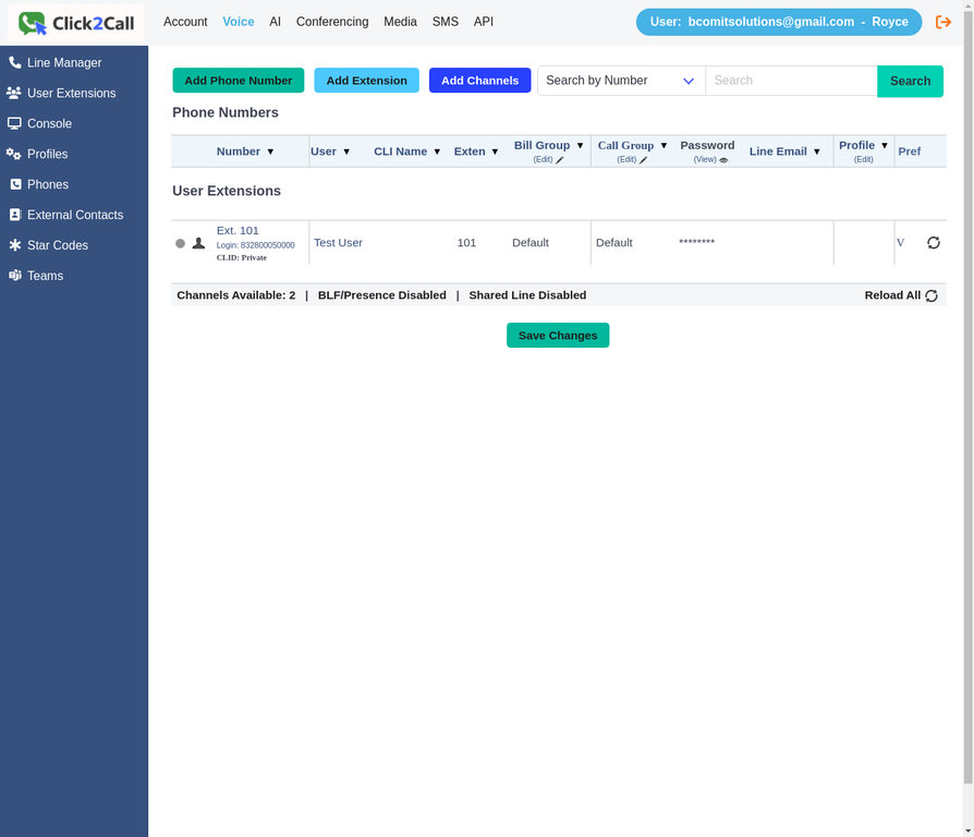 Voice Numbers page showing Add Phone Number, Add Extension, and Add Channels buttons